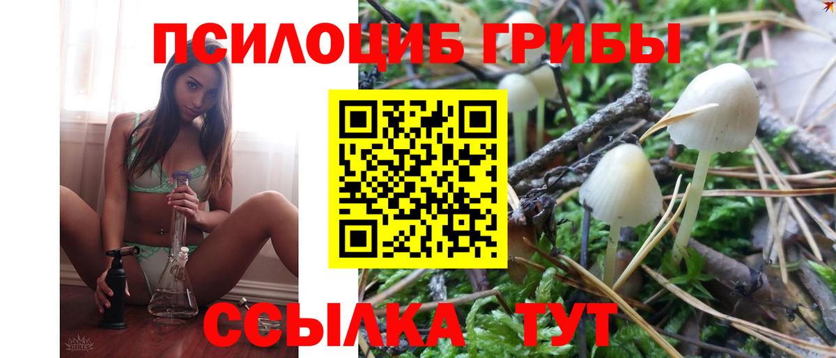 Галлюциногенные грибы мицелий  Вход с VPN  Екатеринбург 