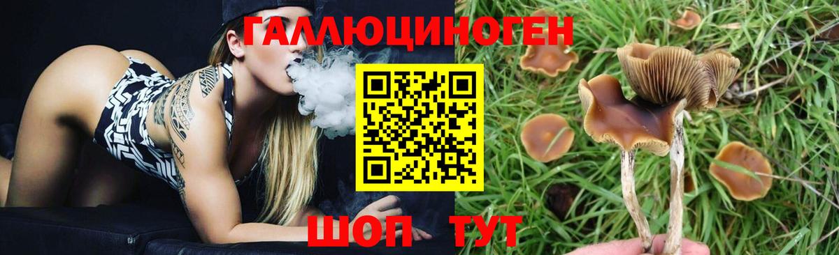 Псилоцибиновые грибы GOLDEN TEACHER Екатеринбург